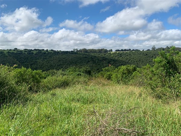 8565 m² Land available in Bathurst and Surrounds
