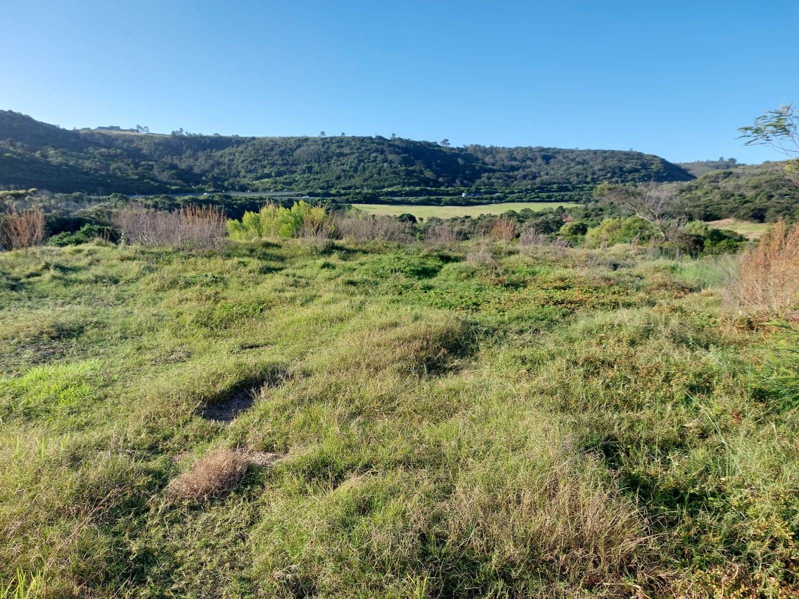 637 m² Land available in Pienaarstrand photo number 4