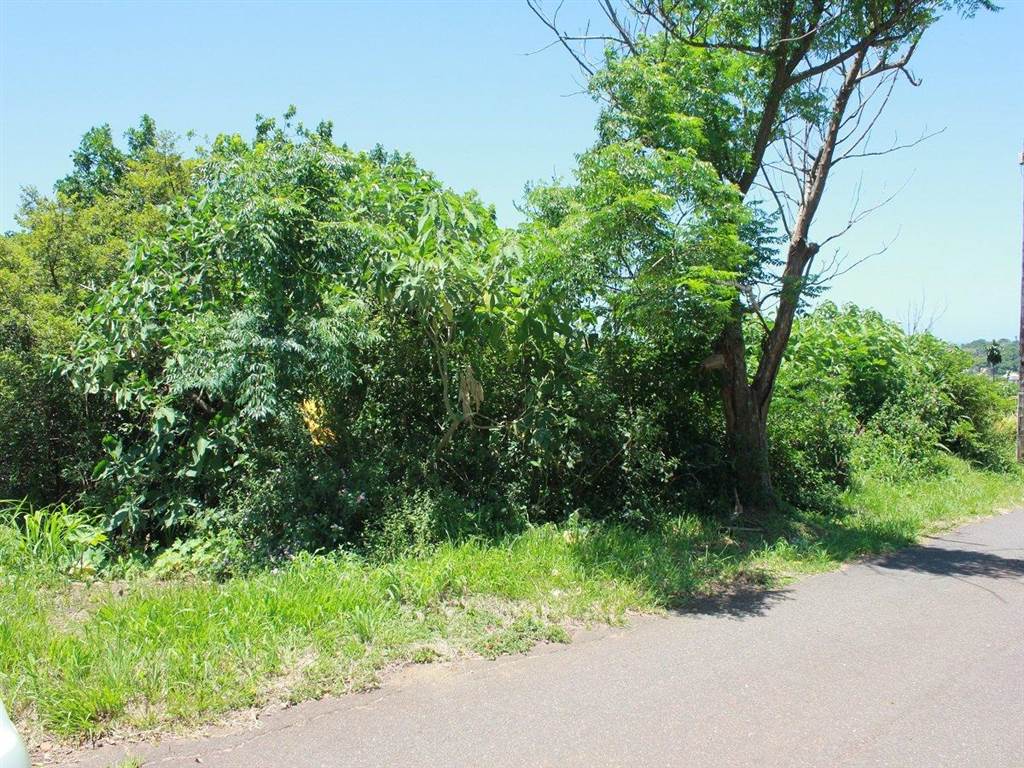 1225 m² Land available in Saiccor photo number 2