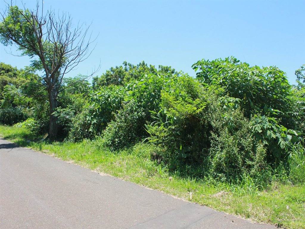 1225 m² Land available in Saiccor photo number 6