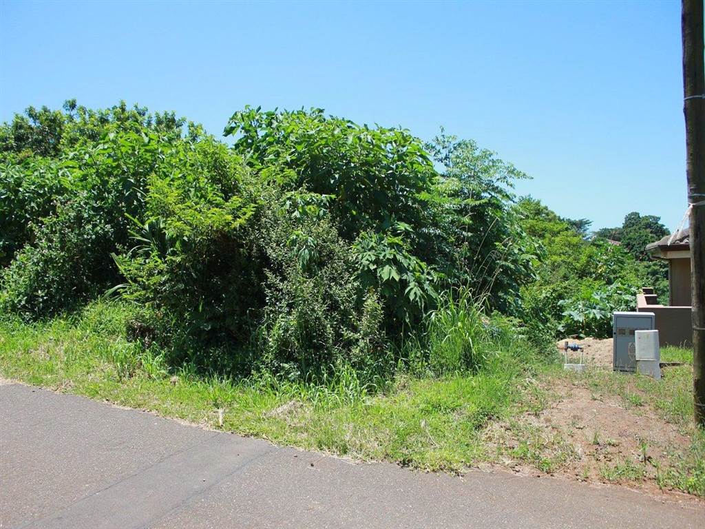 1225 m² Land available in Saiccor photo number 5