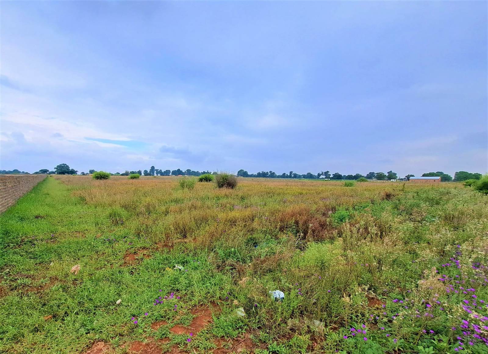 2.1 ha Land available in Rosashof photo number 3