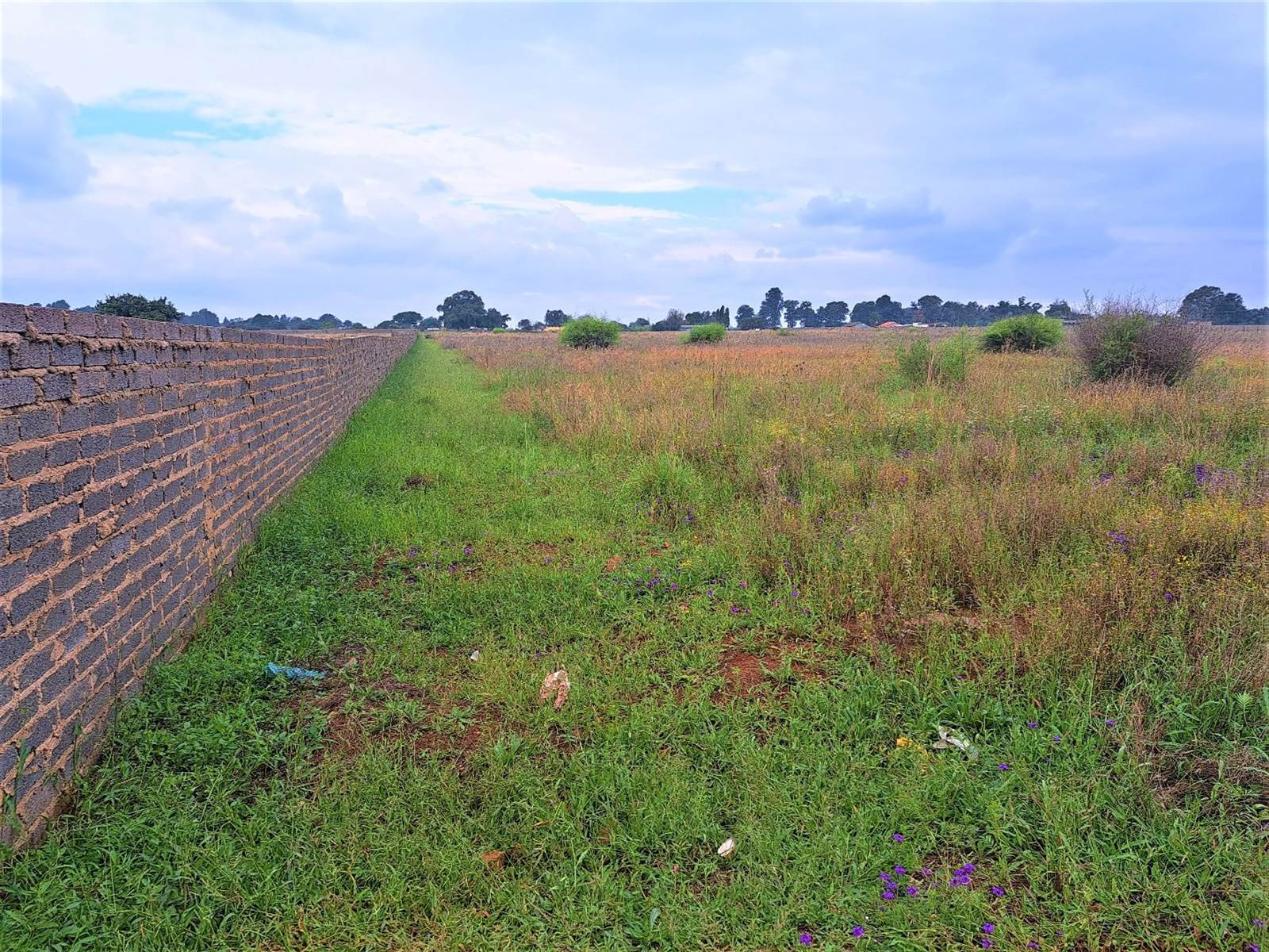 2.1 ha Land available in Rosashof photo number 1