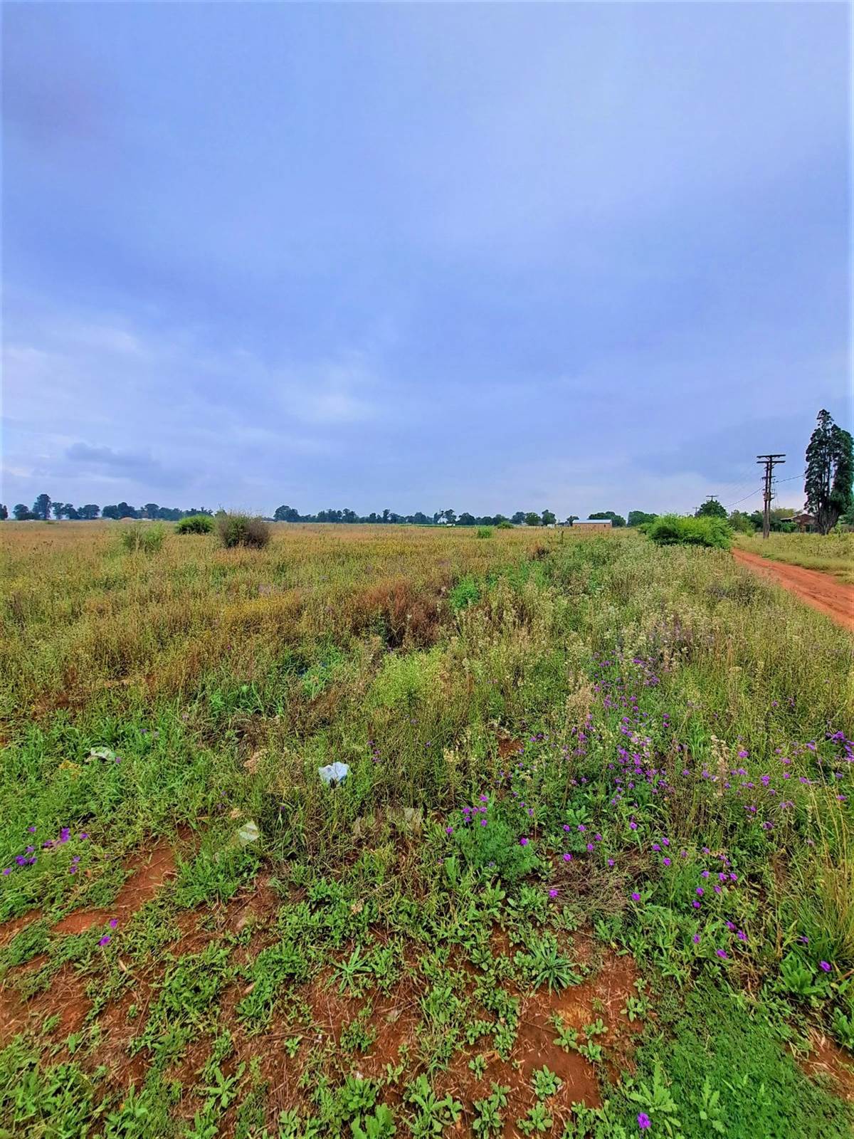 2.1 ha Land available in Rosashof photo number 4
