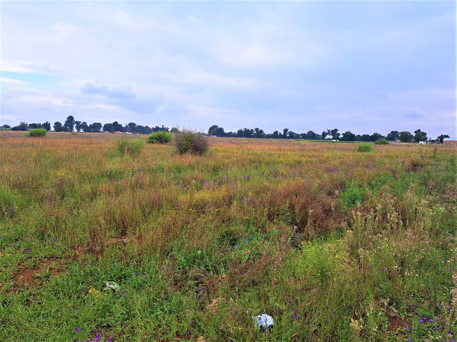 2.1 ha Land available in Rosashof photo number 2