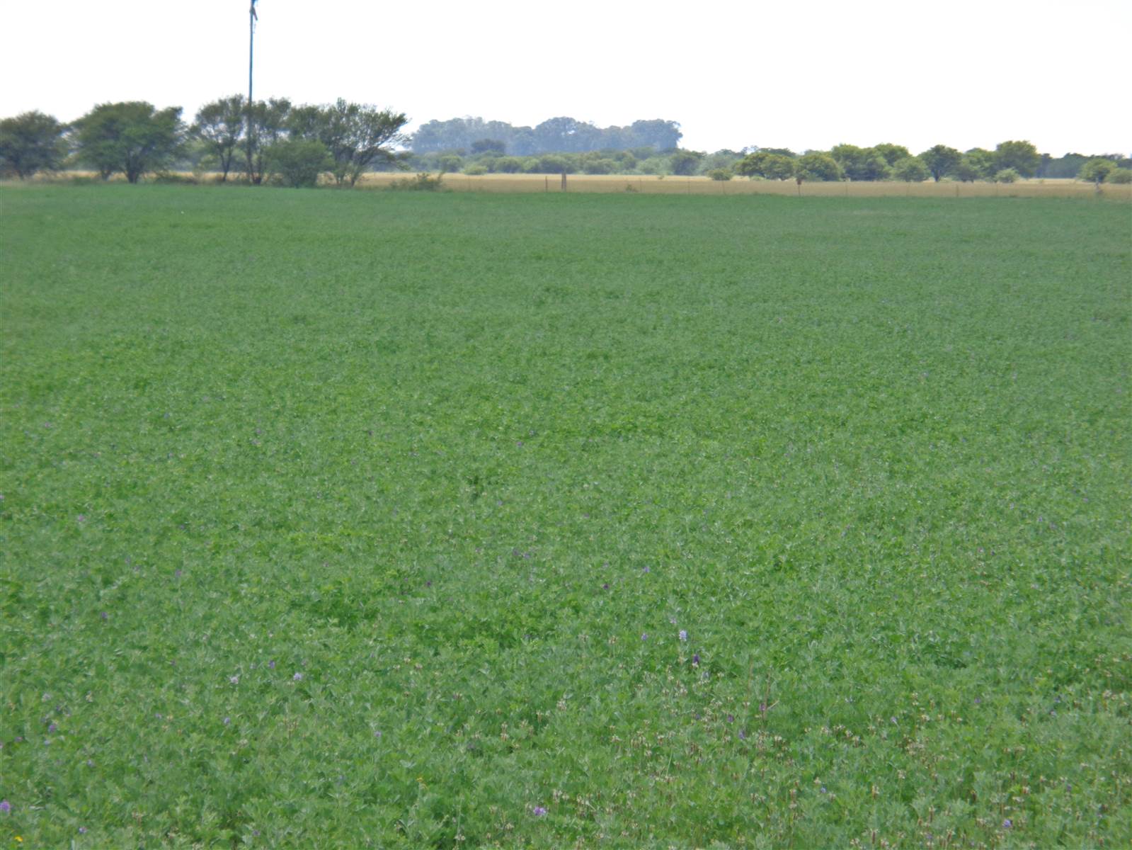 85 ha Land available in Brandfort photo number 27