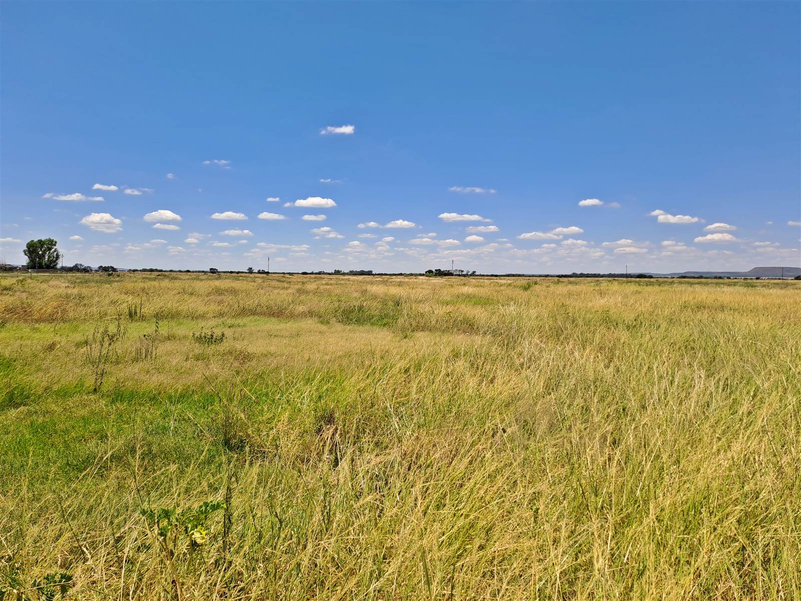 85 ha Land available in Brandfort photo number 24