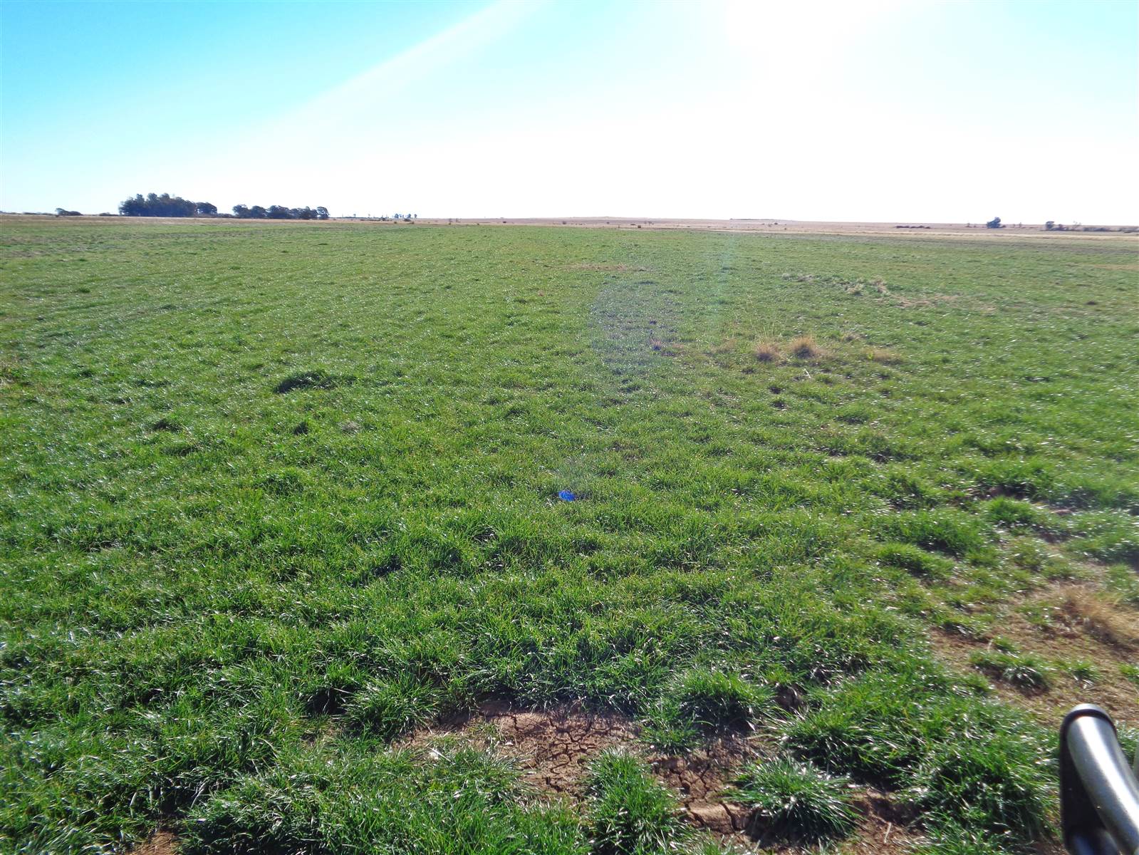 85 ha Land available in Brandfort photo number 5