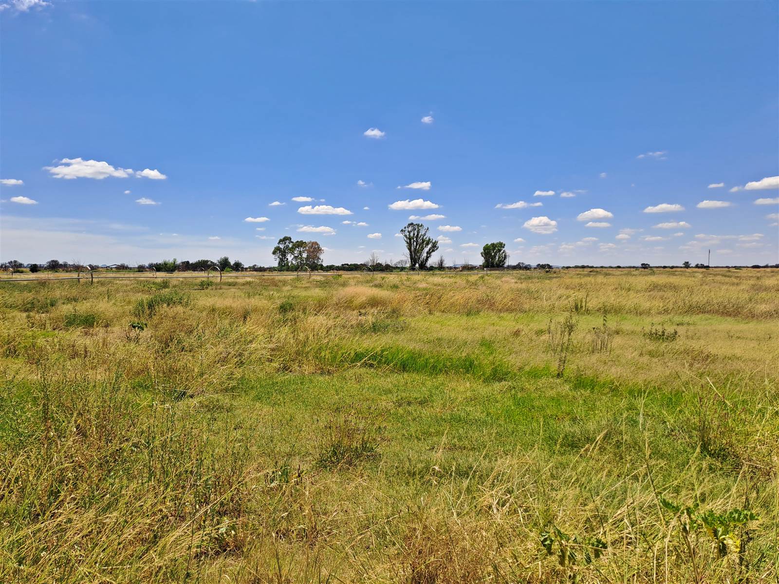 85 ha Land available in Brandfort photo number 23