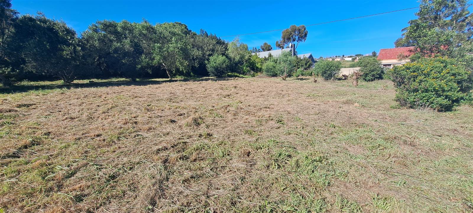 1115 m² Land available in Napier photo number 5
