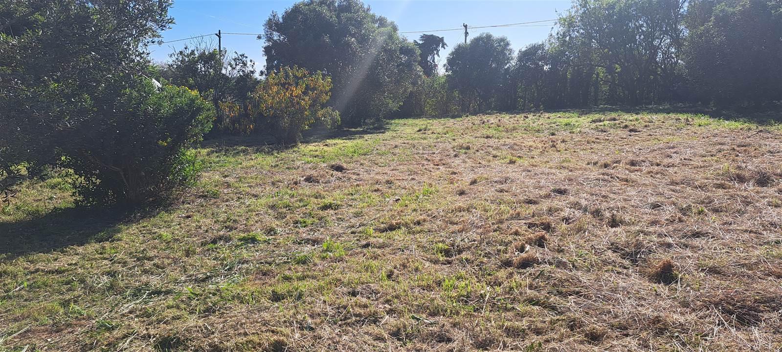1115 m² Land available in Napier photo number 4