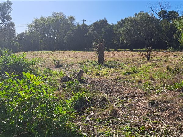1115 m² Land available in Napier
