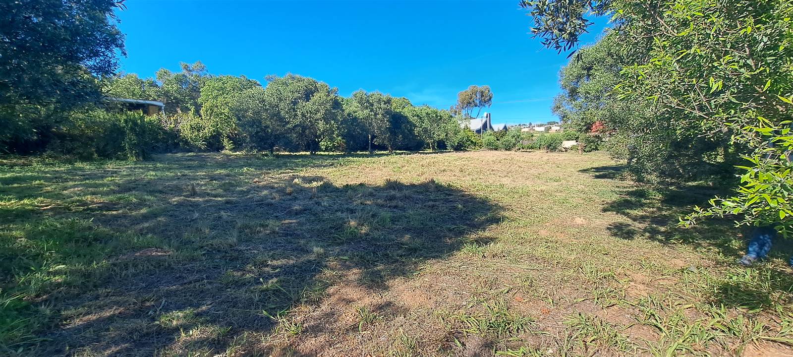 1115 m² Land available in Napier photo number 6