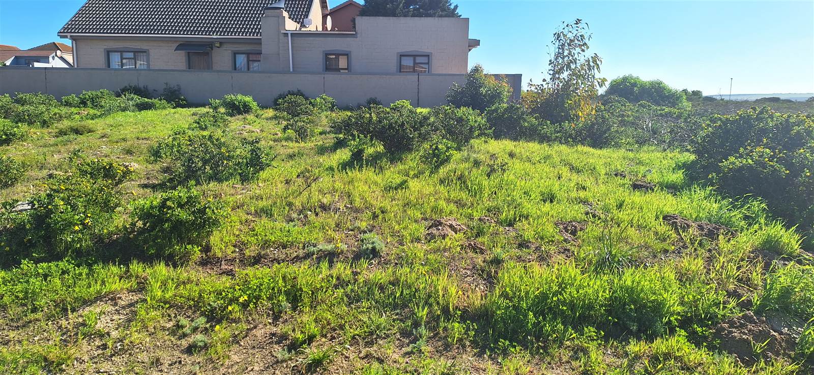 173 m² Land available in Saldanha photo number 1