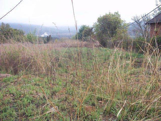 1267 m² Land available in Sabie photo number 5