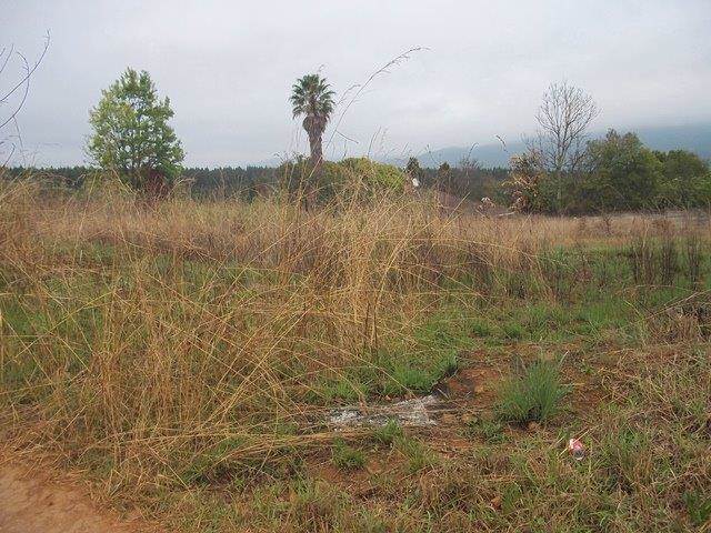 1267 m² Land available in Sabie photo number 2
