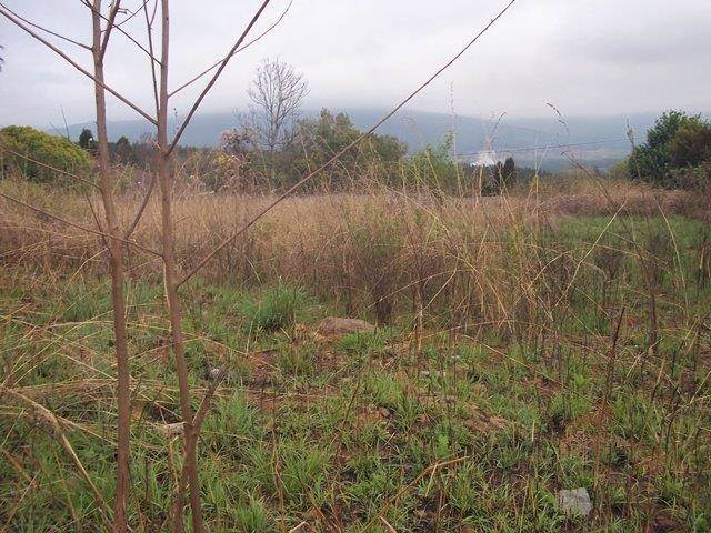 1267 m² Land available in Sabie photo number 4