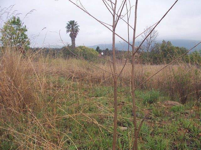 1267 m² Land available in Sabie photo number 3