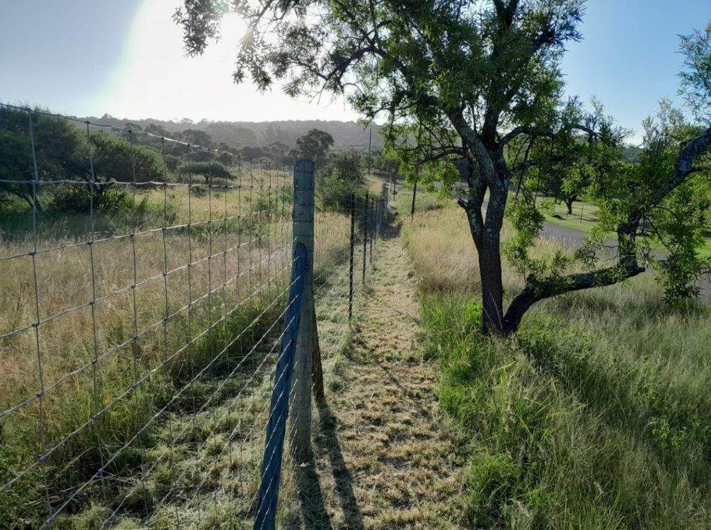 2 ha Land available in Ashburton photo number 8