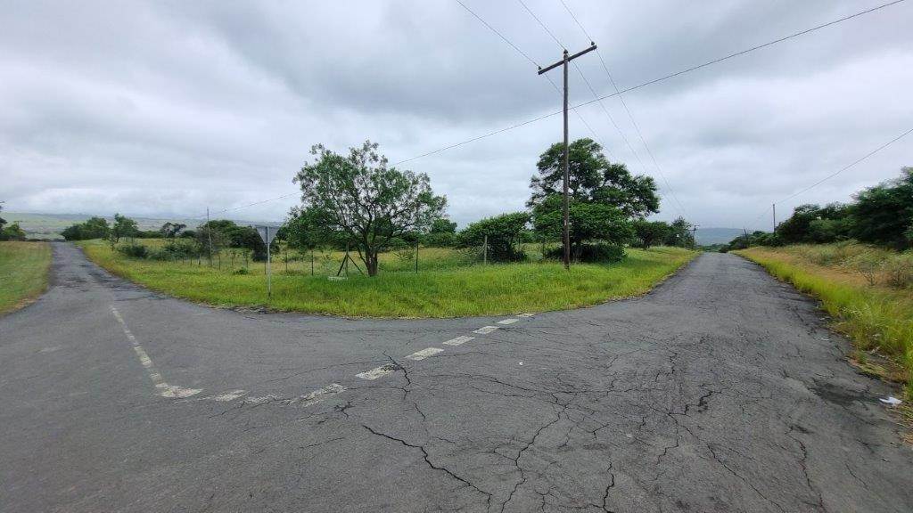 2 ha Land available in Ashburton photo number 4
