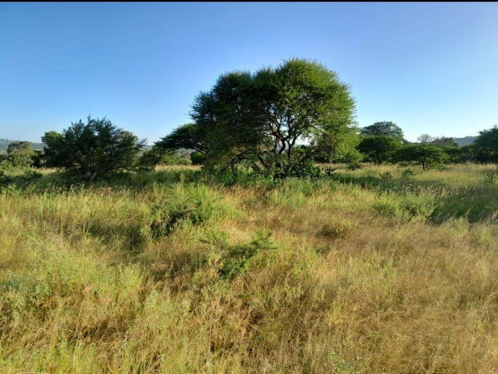 2 ha Land available in Ashburton photo number 13