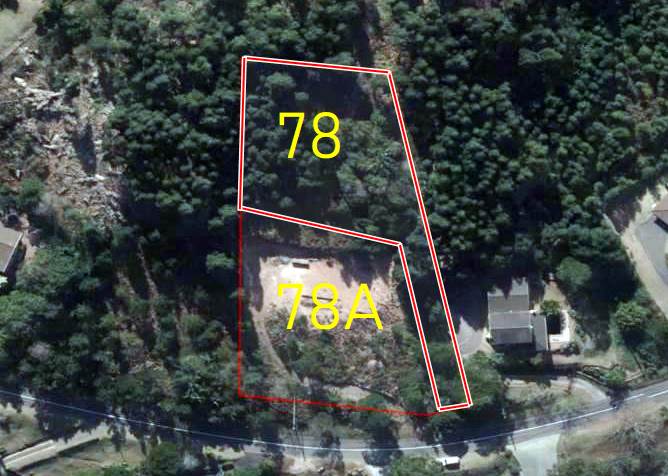 2136 m² Land available in Forest Hills photo number 1