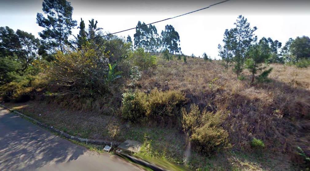 2136 m² Land available in Forest Hills photo number 3