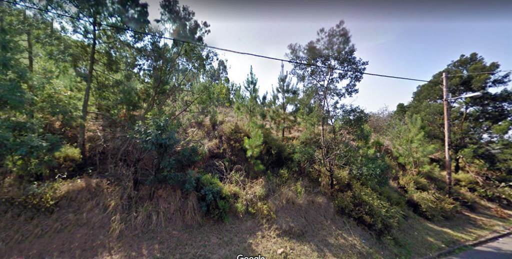 2136 m² Land available in Forest Hills photo number 4
