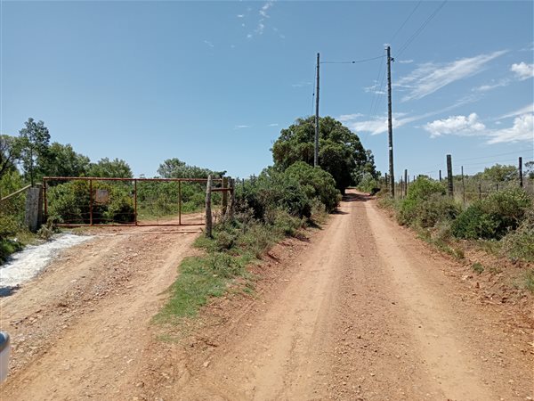 55.9 ha Farm