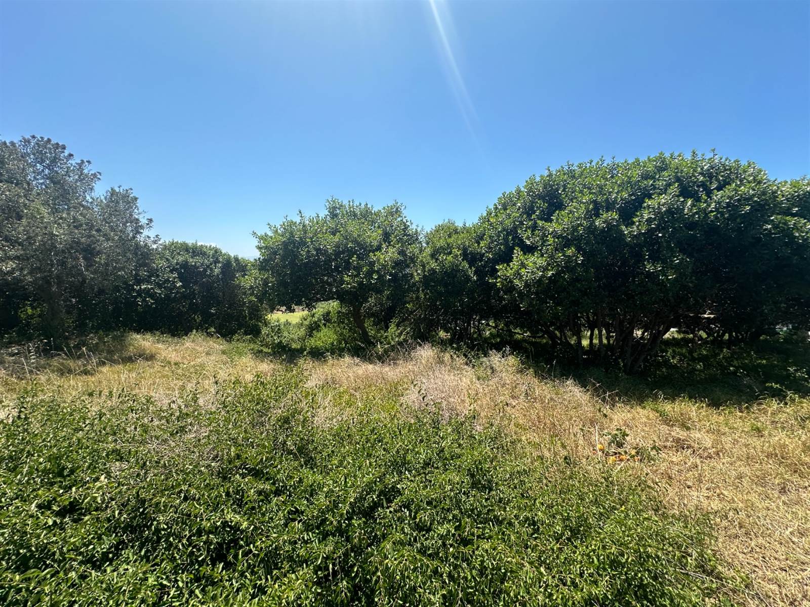 866 m² Land available in Great Brak River photo number 1