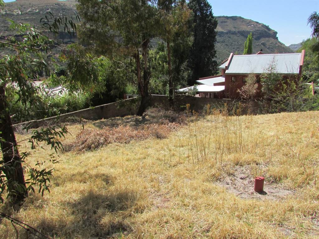 1007 m² Land available in Clarens photo number 6