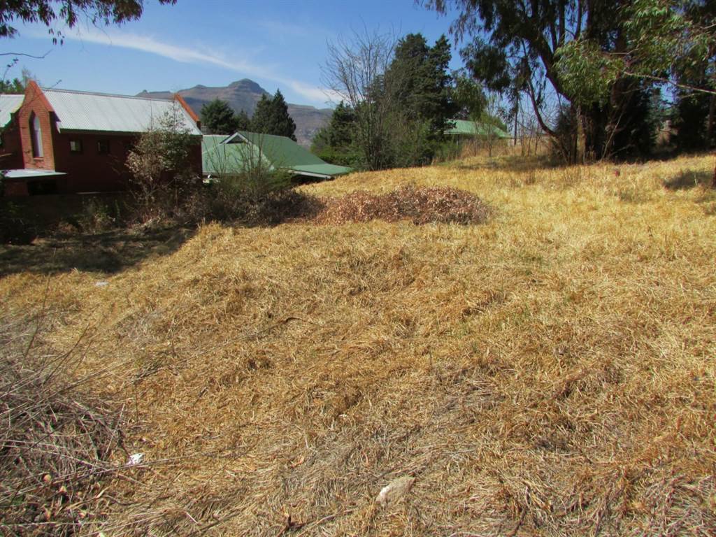 1007 m² Land available in Clarens photo number 7