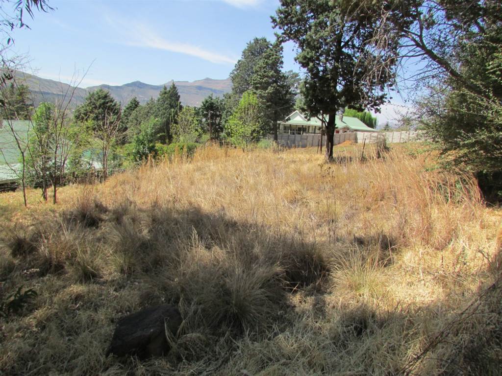 1007 m² Land available in Clarens photo number 3