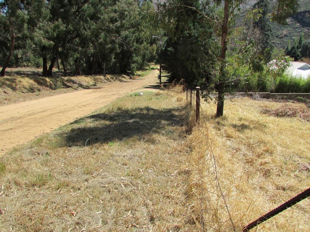 1007 m² Land available in Clarens photo number 5