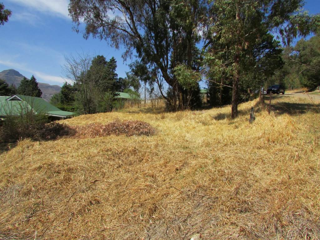 1007 m² Land available in Clarens photo number 8