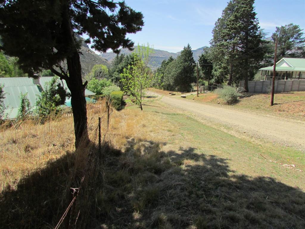 1007 m² Land available in Clarens photo number 2