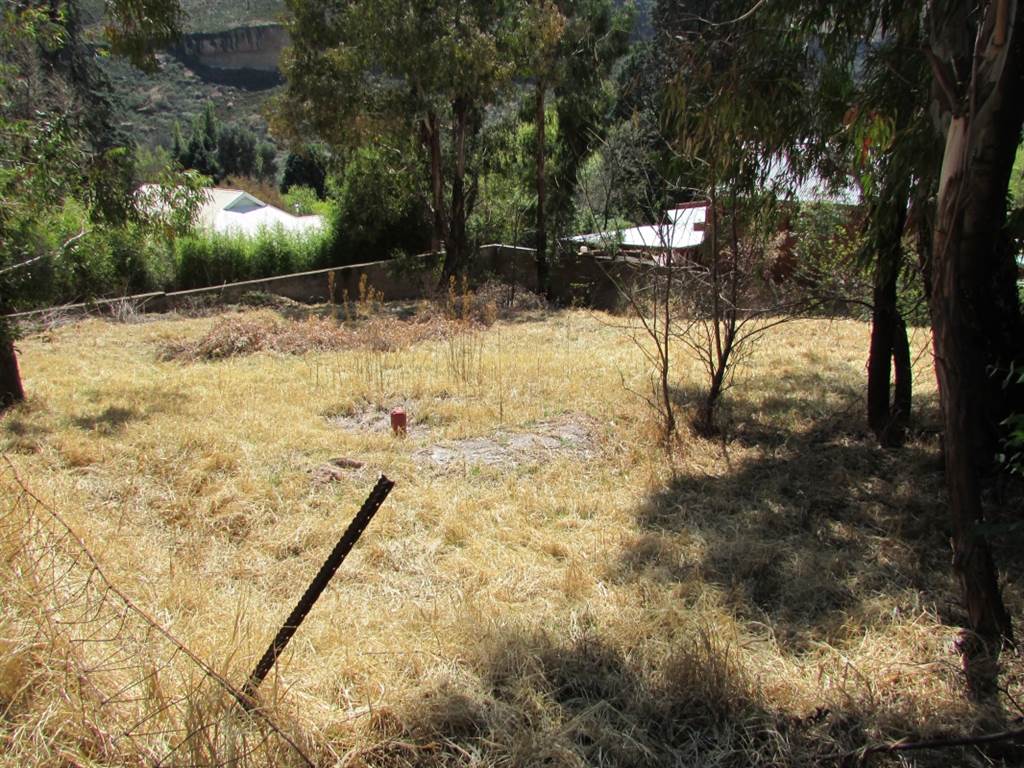 1007 m² Land available in Clarens photo number 4