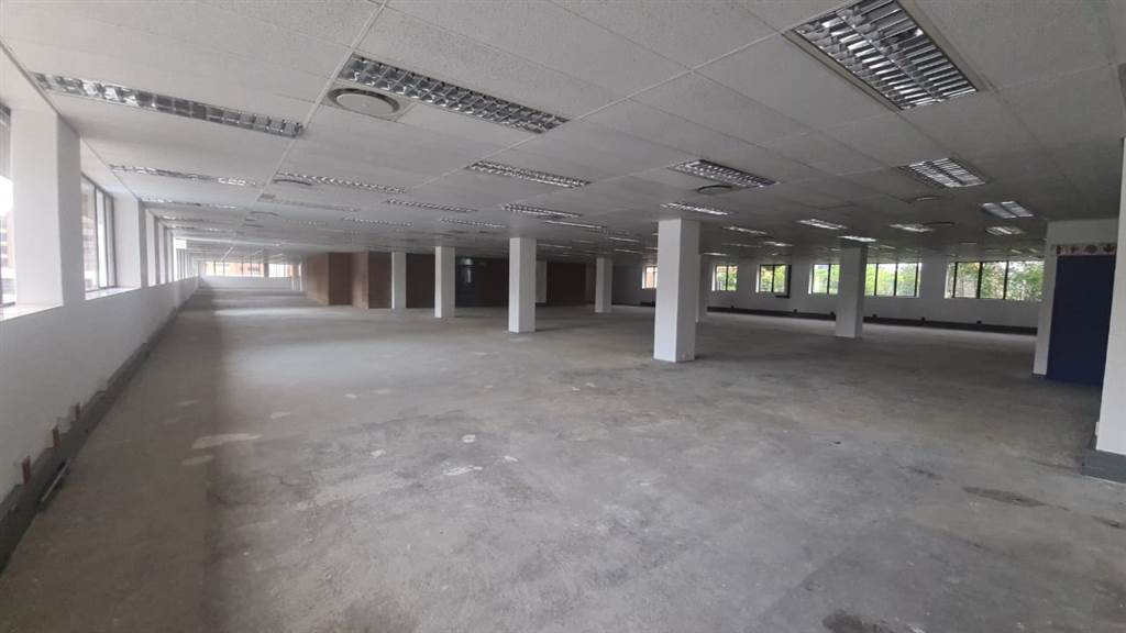 1371  m² Commercial space in Arcadia photo number 10