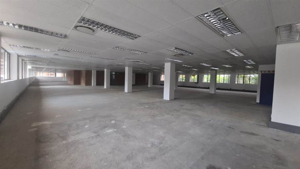 1371  m² Commercial space in Arcadia photo number 11