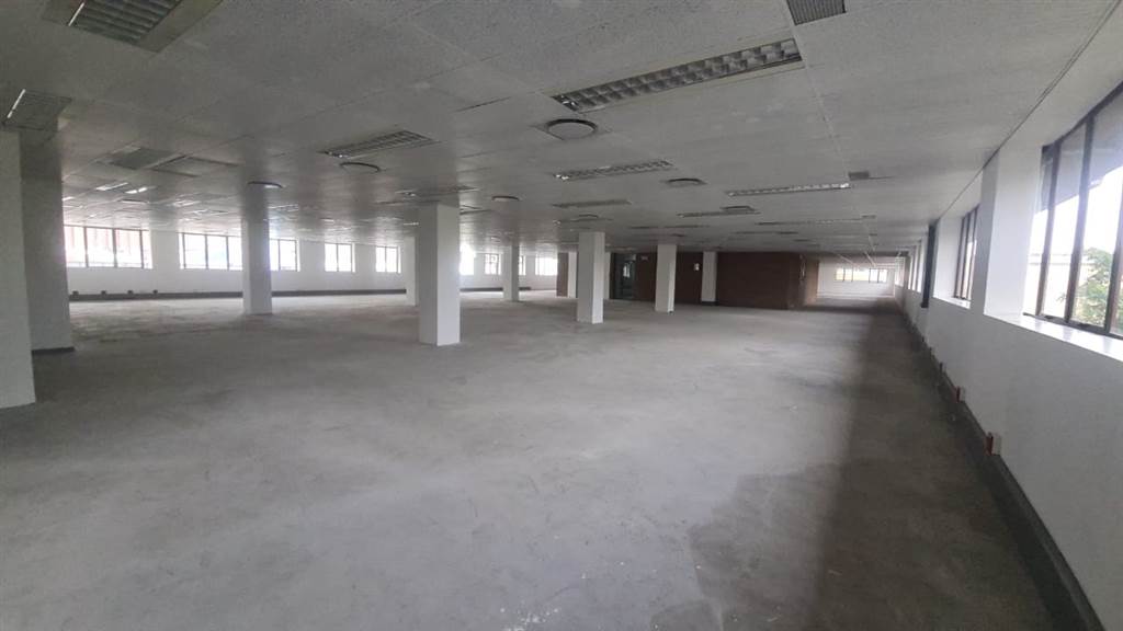 1371  m² Commercial space in Arcadia photo number 5