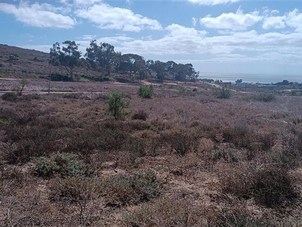 523 m² Land available in St Helena Views