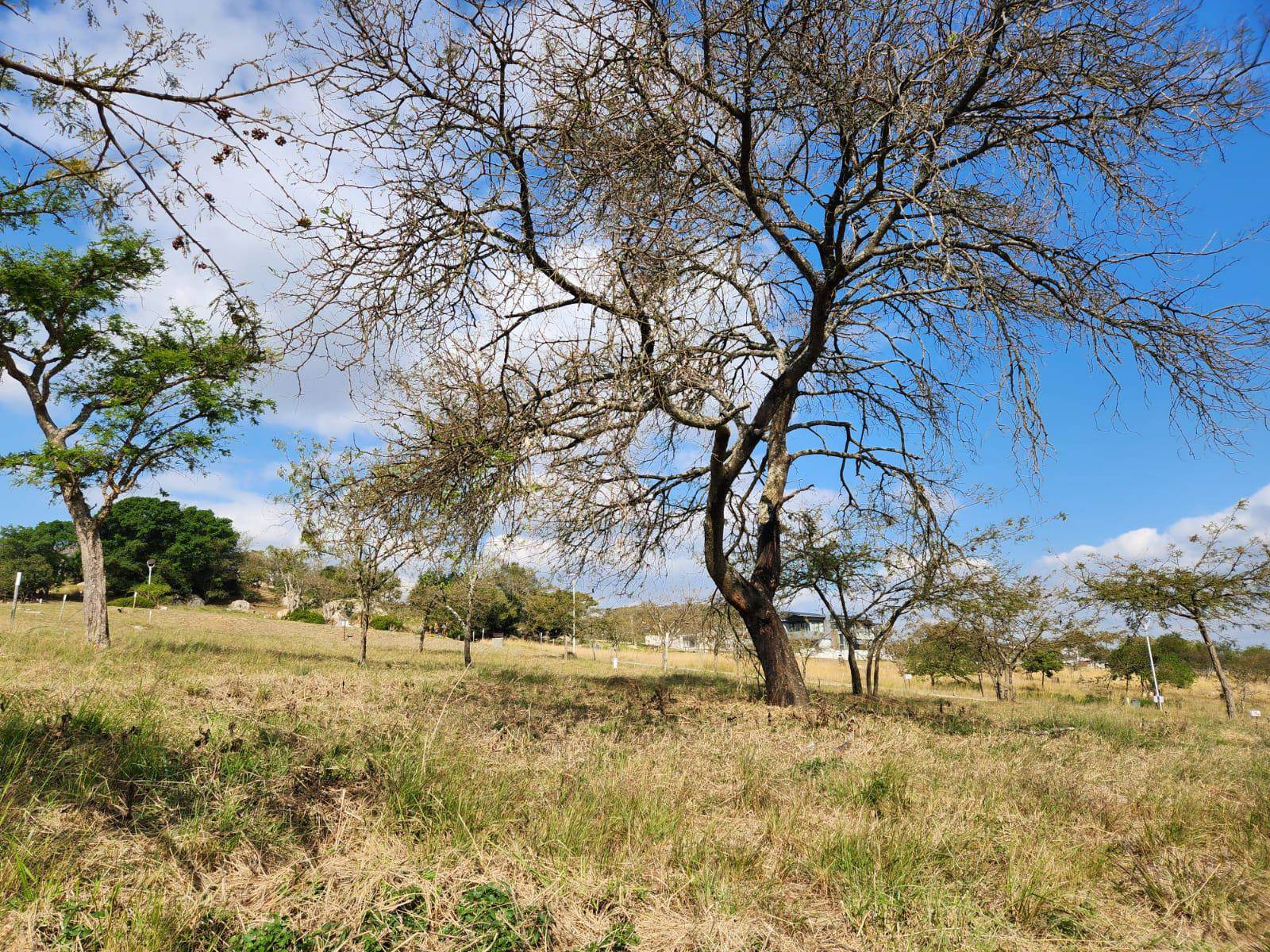 825 m² Land available in The Rest Nature Estate photo number 8