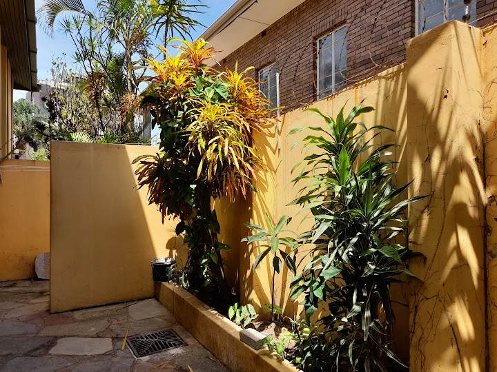 3 Bed Apartment in Musgrave photo number 12