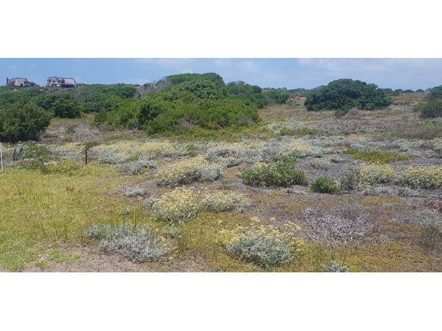 828 m² Land available in Stilbaai photo number 4