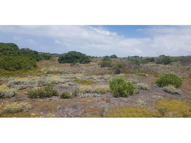 828 m² Land available in Stilbaai photo number 5