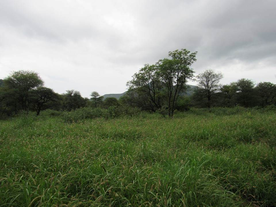1324 ha Farm in Thabazimbi photo number 3