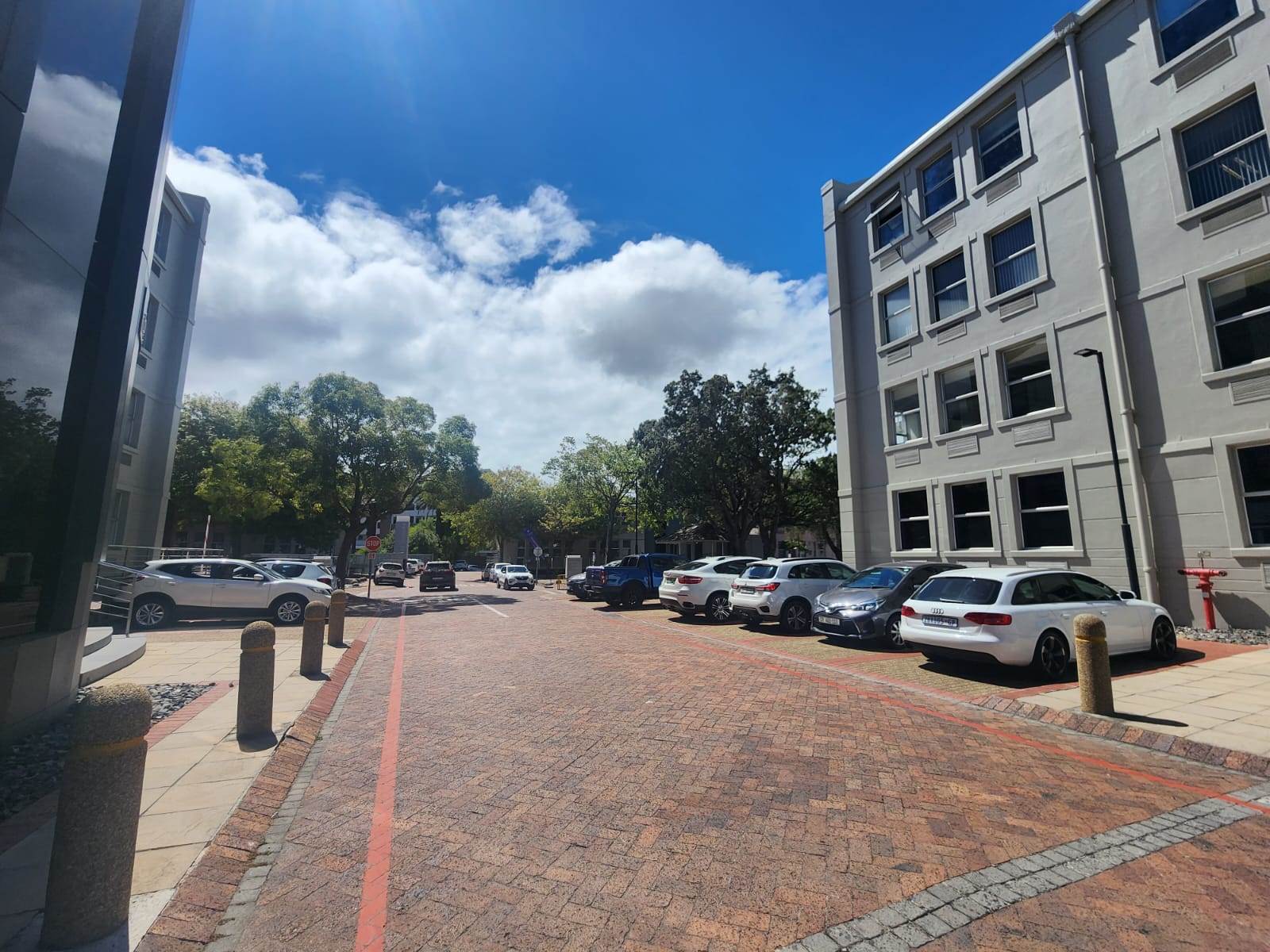 867  m² Commercial space in Rondebosch photo number 3