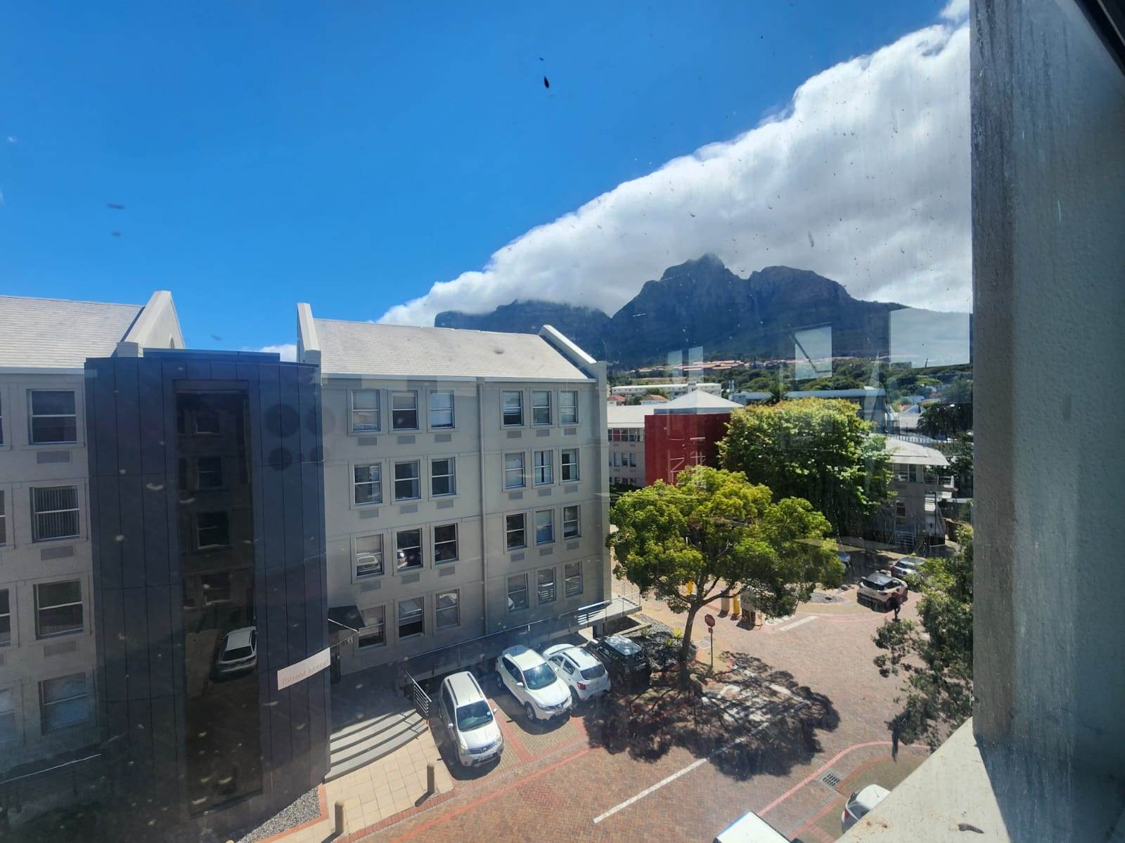 867  m² Commercial space in Rondebosch photo number 5