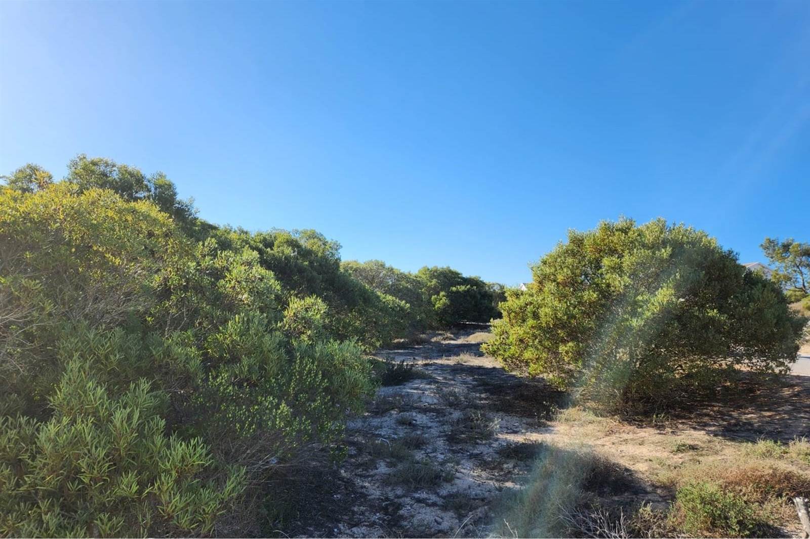 394 m² Land available in Shelley Point photo number 15