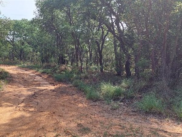 2 ha Land available in Vaalwater